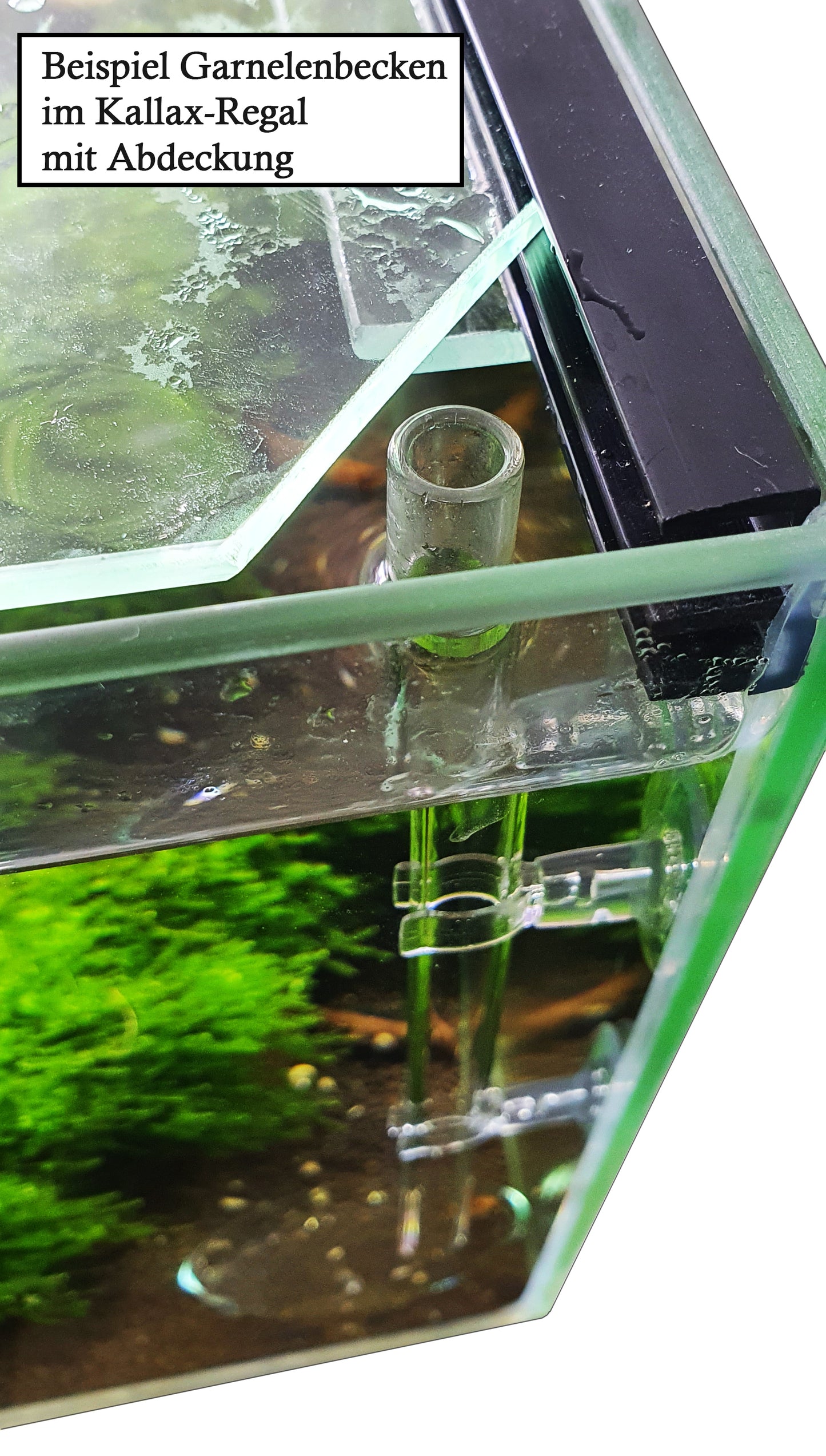 GARNELEN4YOU® feed pipe set