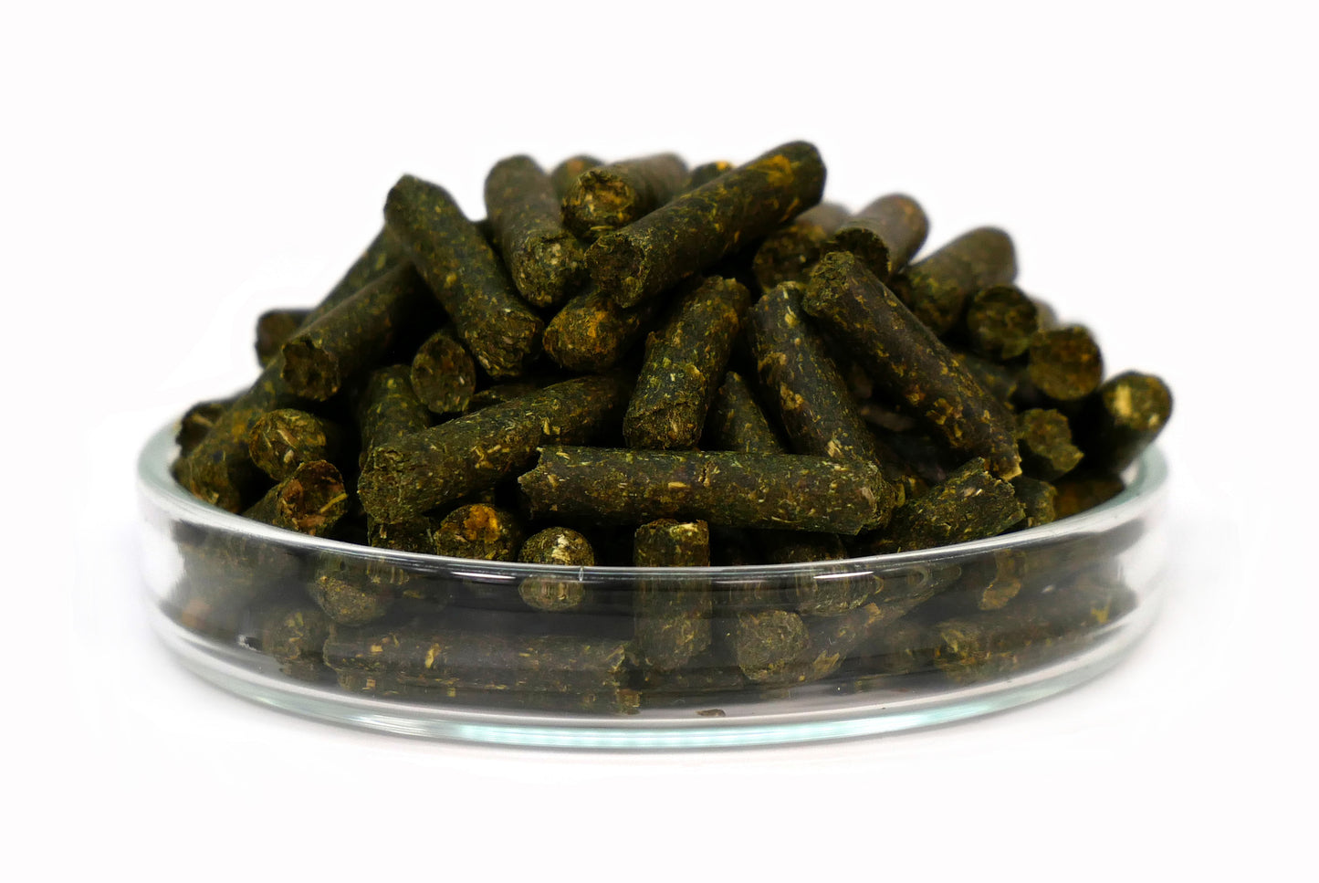 GARNELEN4YOU® Barley Grass Sticks