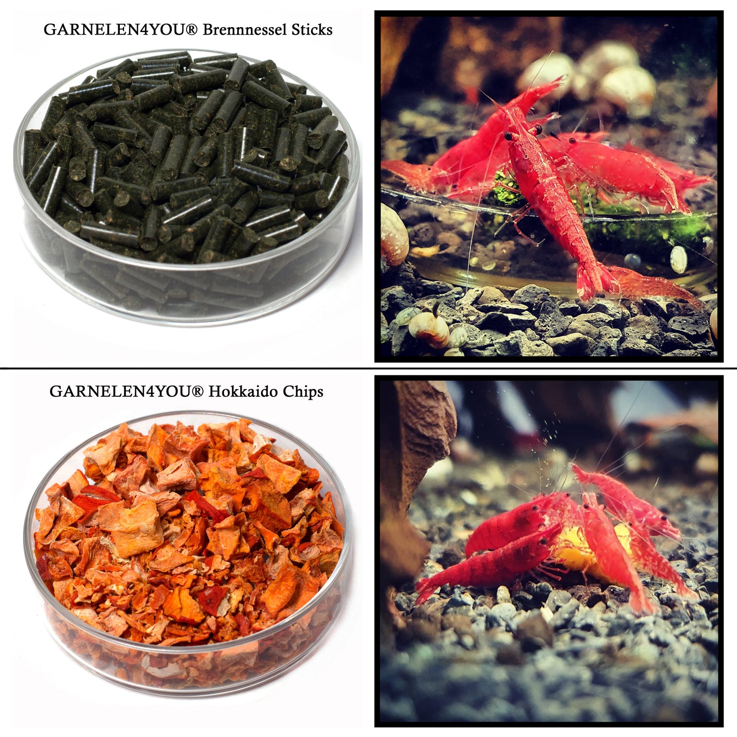 GARNELEN4YOU® sample set