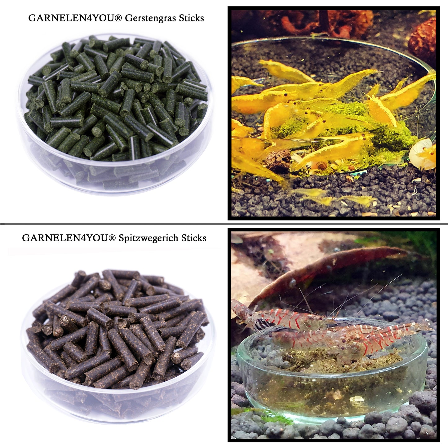 GARNELEN4YOU® sample set
