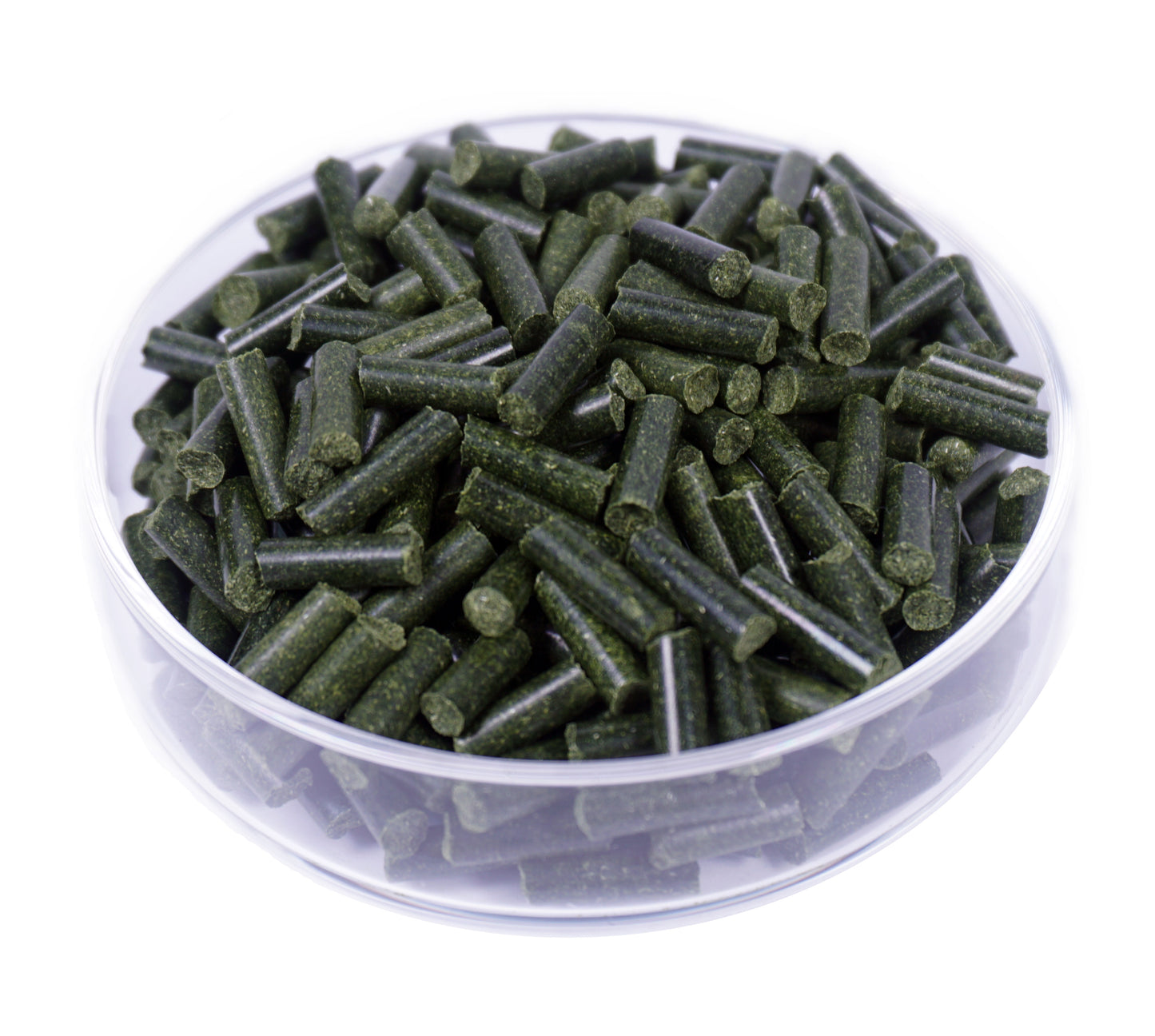 GARNELEN4YOU® Barley Grass Sticks