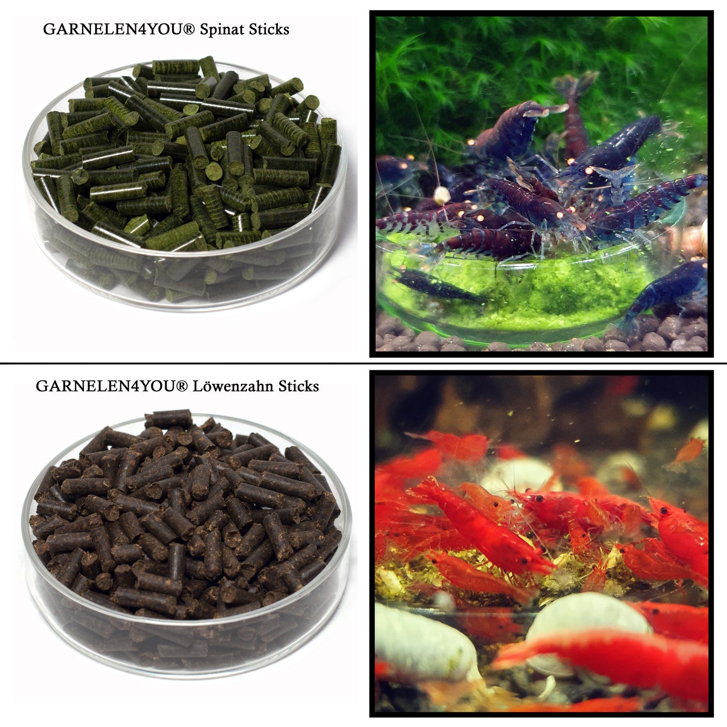 GARNELEN4YOU® sample set
