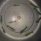 DIY Green Demon Breeding Group