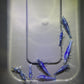 DIY Neocaridina "Blue Demon" breeding group