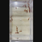 Selected Neocaridina Bloody Mary OE/Red Demon